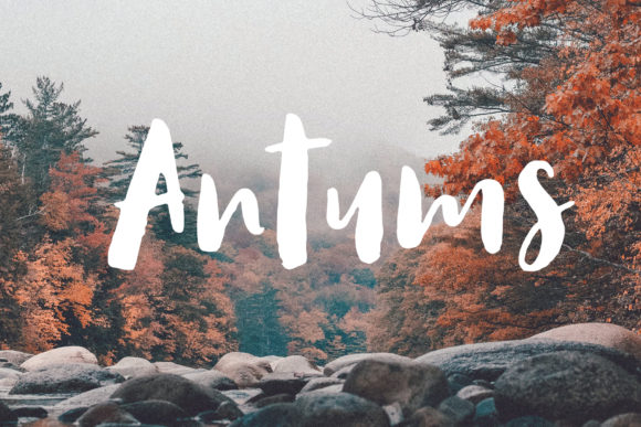 Antums Font Review: Elevating Small Business Branding