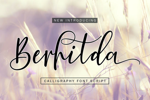Berhilda: A Designer’s Honest Review
