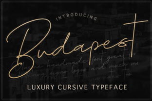 Budapest Family Font Review: A Luxurious Typeface for Branding