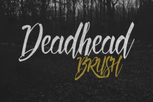 Deadhead Brush: The Hand-Lettered Typeface for Bold Campaigns