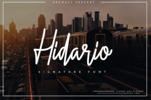 Hidario: A Luxurious Script Font for Handmade Brands