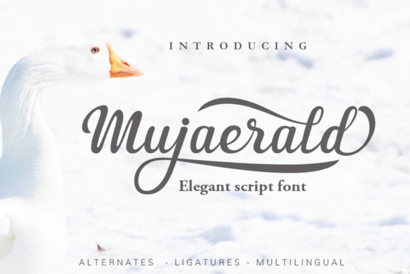 Mujaerald: A Refined Script Typeface for Editorial Design
